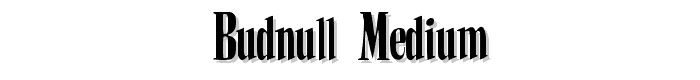 BudNull Medium font
